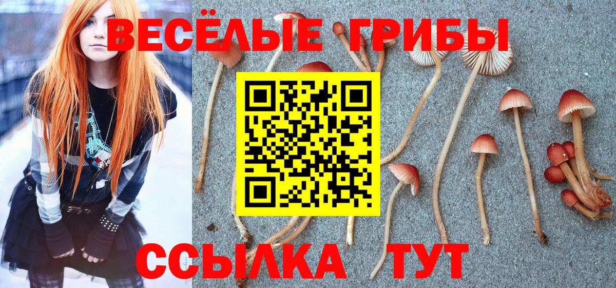 Галлюциногенные грибы GOLDEN TEACHER  Вход с VPN  Галлюциногенные грибы MAGIC MUSHROOMS  Нижнекамск 